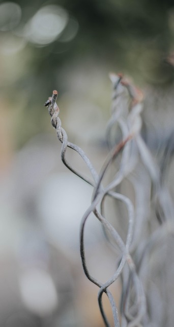 Free Fence Metal photo and picture
