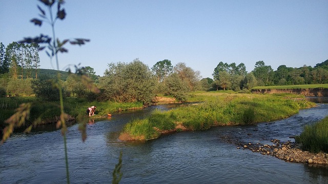 Free River Tea photo and picture