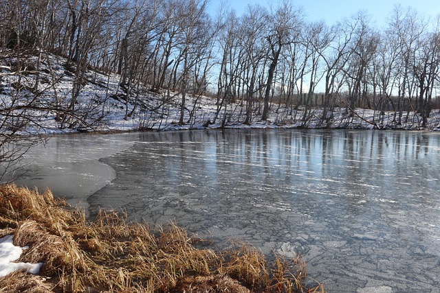 Free Lake Forest photo and picture