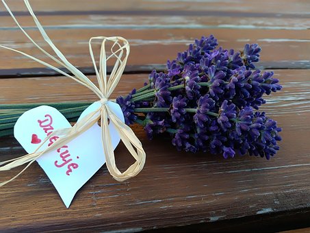 Dank, Lavendel, Ein Strauß Lavendel