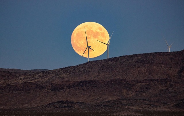 Free Moon Night photo and picture