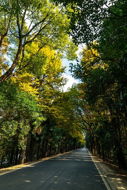 Free Road Countryside photo and picture
