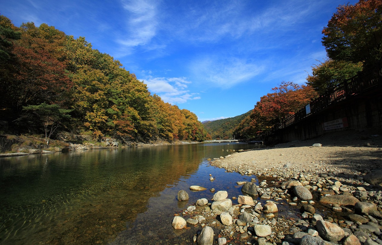 Autumn - free online jigsaw puzzle photo