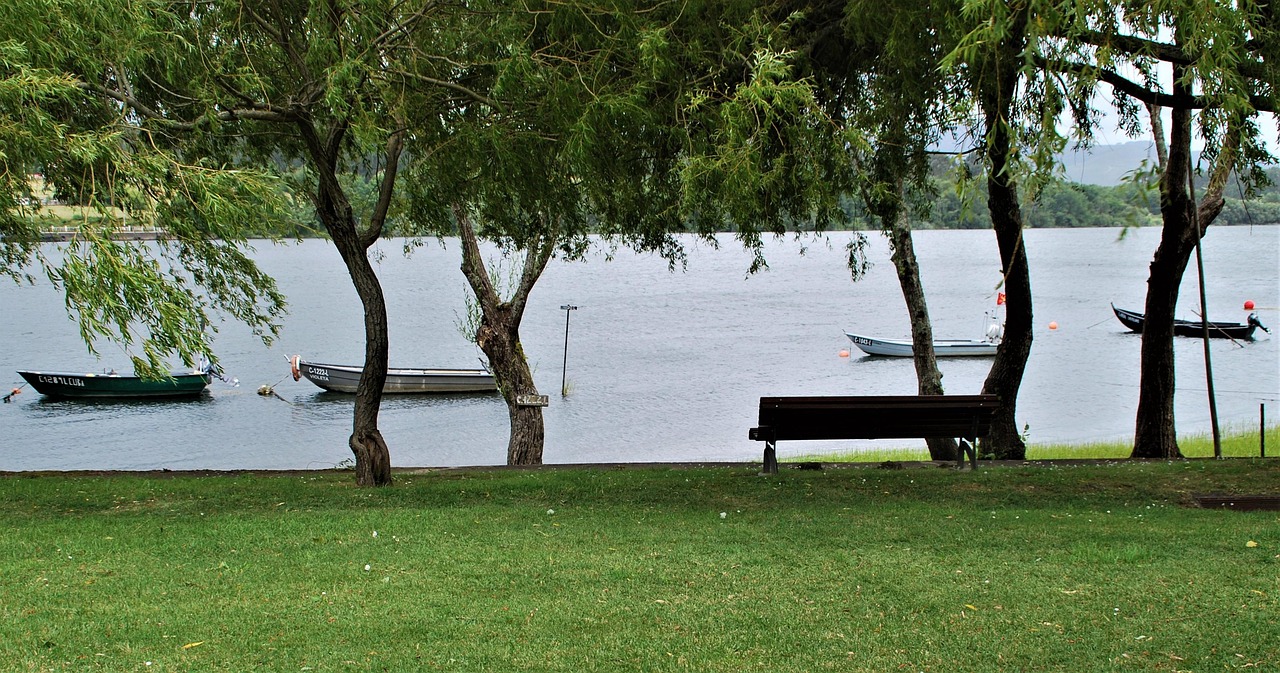 Rio Agua Botes - Foto gratis en Pixabay - Pixabay