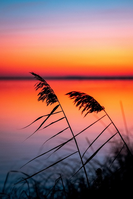 Siv, Flod, Solnedgang, Tusmørke