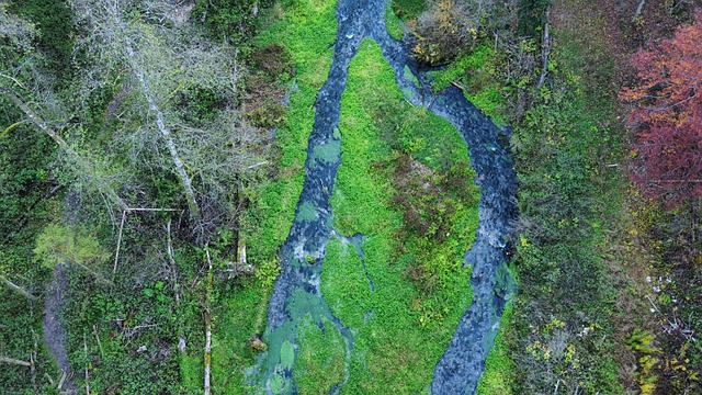 Free Flow Stream photo and picture