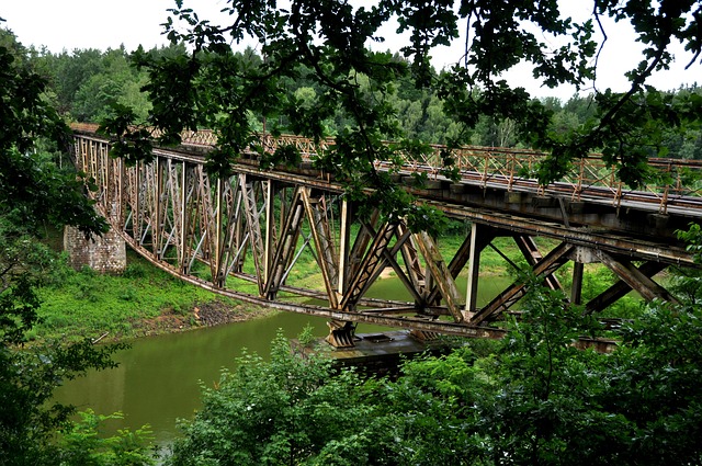 Free Bridge Train photo and picture