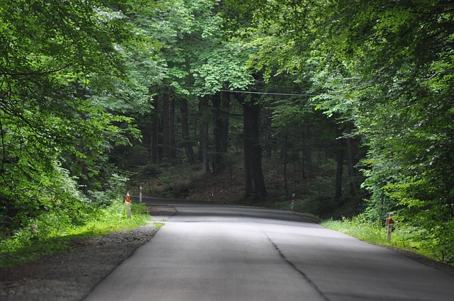 Free Road Nature photo and picture