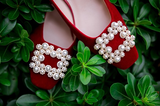 Free Wedding Shoes Shoes photo and picture