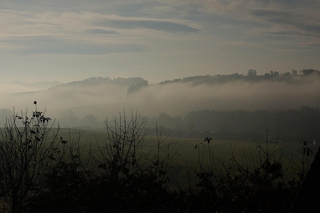 Sonnenaufgang, Morgen, Nebel, Wald