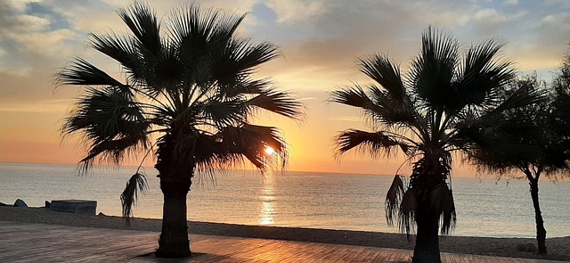 Free Beach Calm Down photo and picture