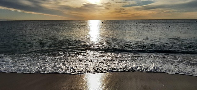 Free Beach Sea photo and picture