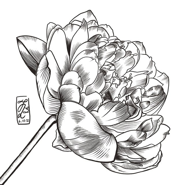 Bloem, Lotus, Natuur, Ontwerp, Krathong