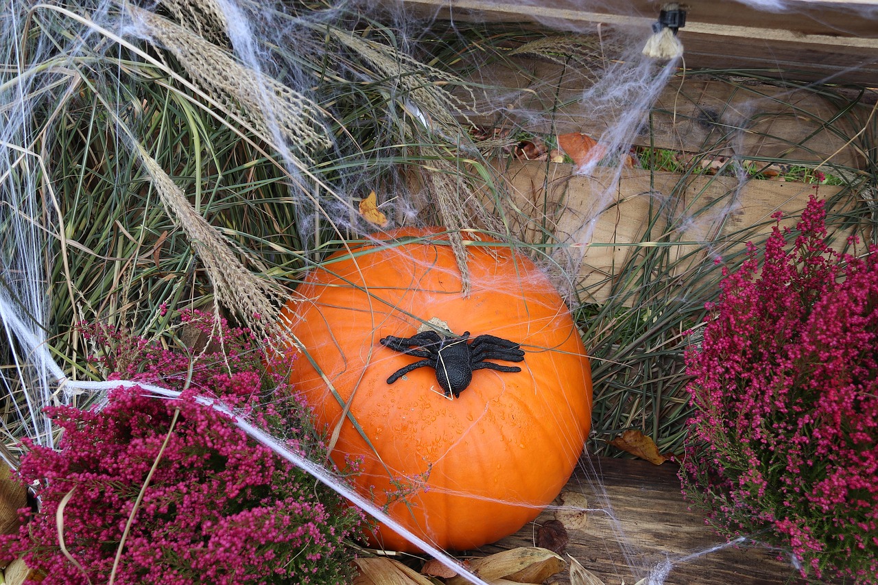 Décorations Halloween Vaskula - 3 Guirlandes LED Avec Citrouille, Chauve-souris Et Araignée - Ventouse Et Crochet Inclus