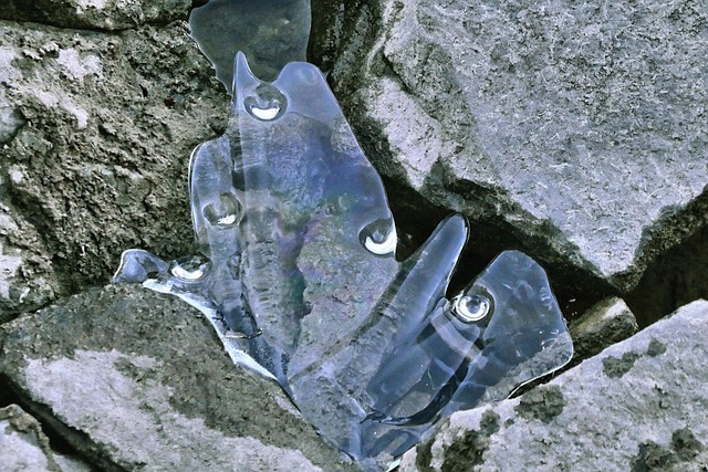 Free Ice Frozen photo and picture