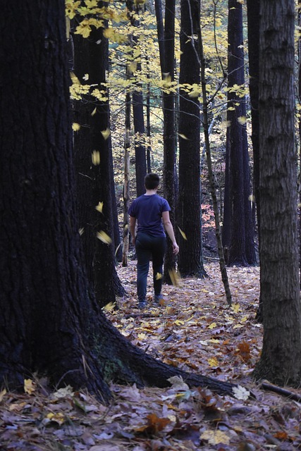 Free Autumn Girl photo and picture