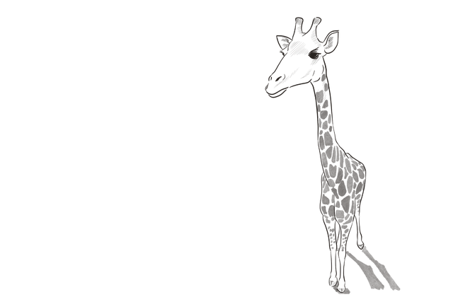 Dier, Giraffe, Zoogdier, Fauna, Soort
