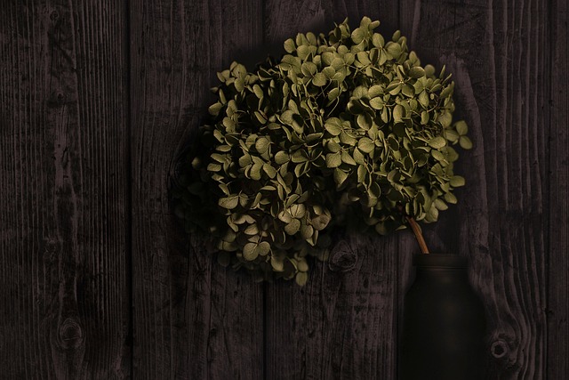 Free Decoration Leaves photo and picture