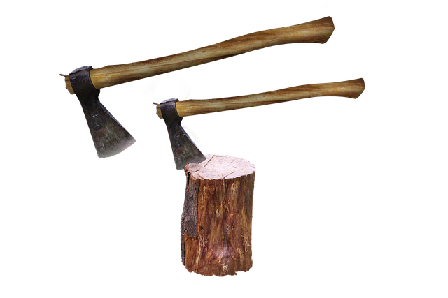 Free axe trunk tree illustration