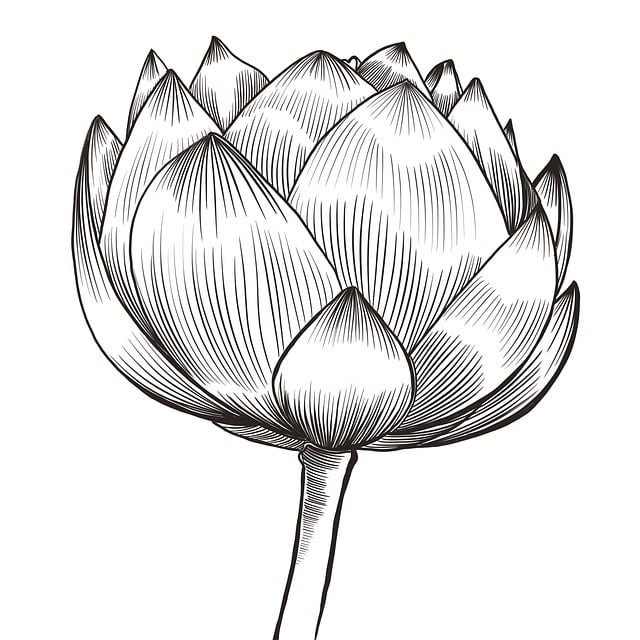 Bloem, Lotus, Bloom, Plantaardige, Kwab
