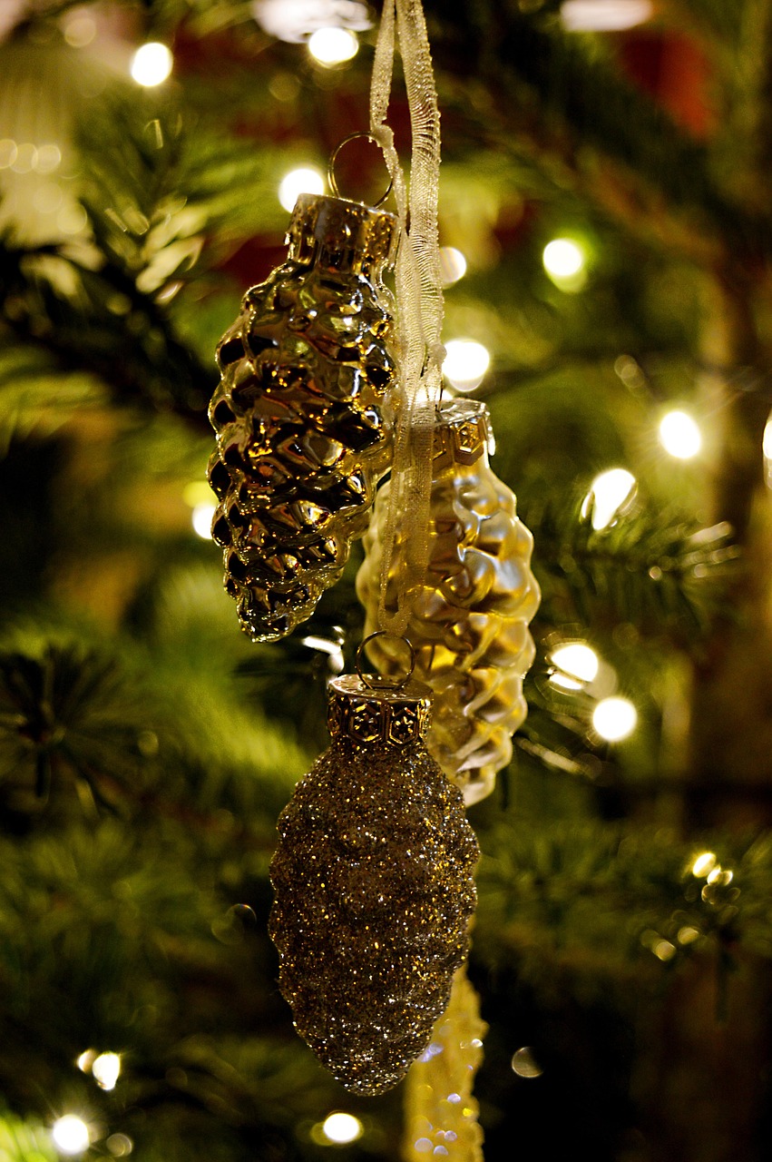 Pine Cones Fir Tree Christmas - Free photo on Pixabay
