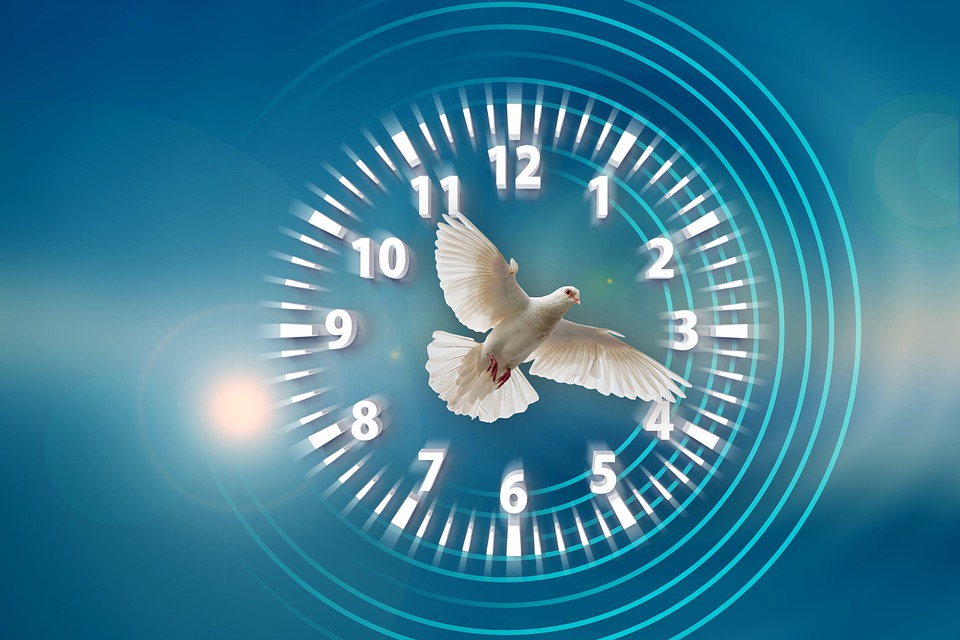 時計 時間 鳩 Pixabayの無料画像