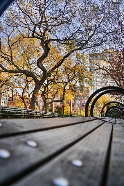 Free Bench Park photo and picture