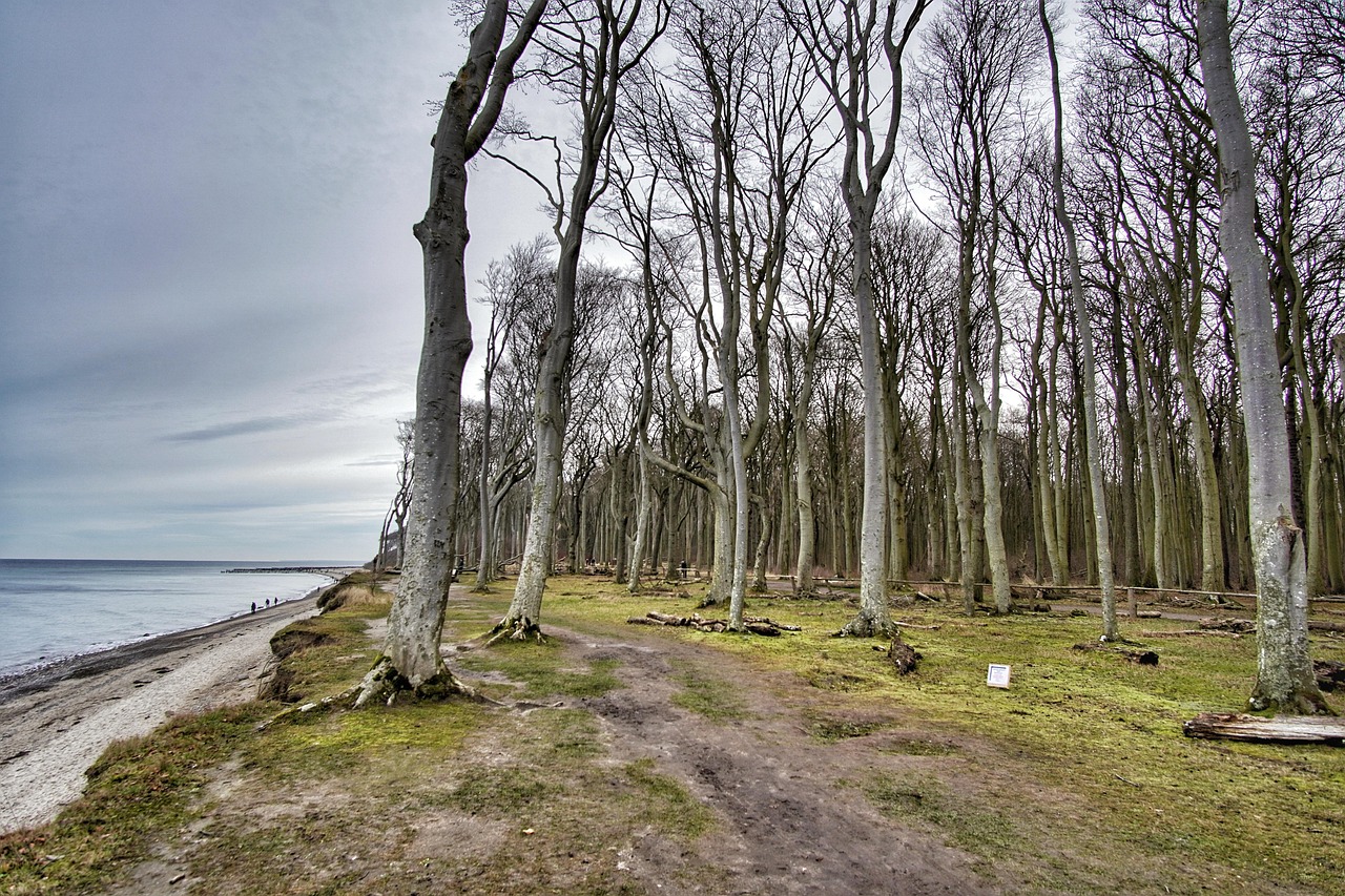 Beach - free online jigsaw puzzle photo