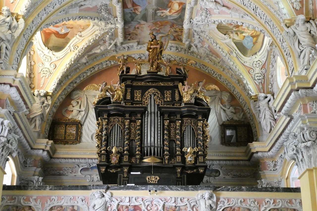 Organ - free online jigsaw puzzle photo