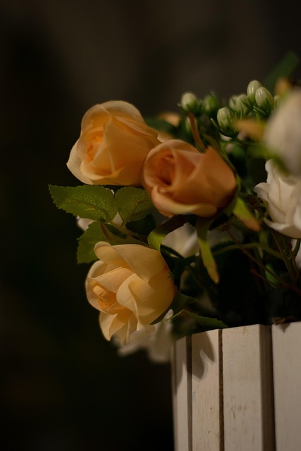 Free Roses Flowers photo and picture