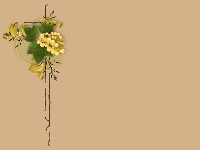 Free flowers currants frame illustration