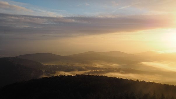 Free Nature Fog photo and picture