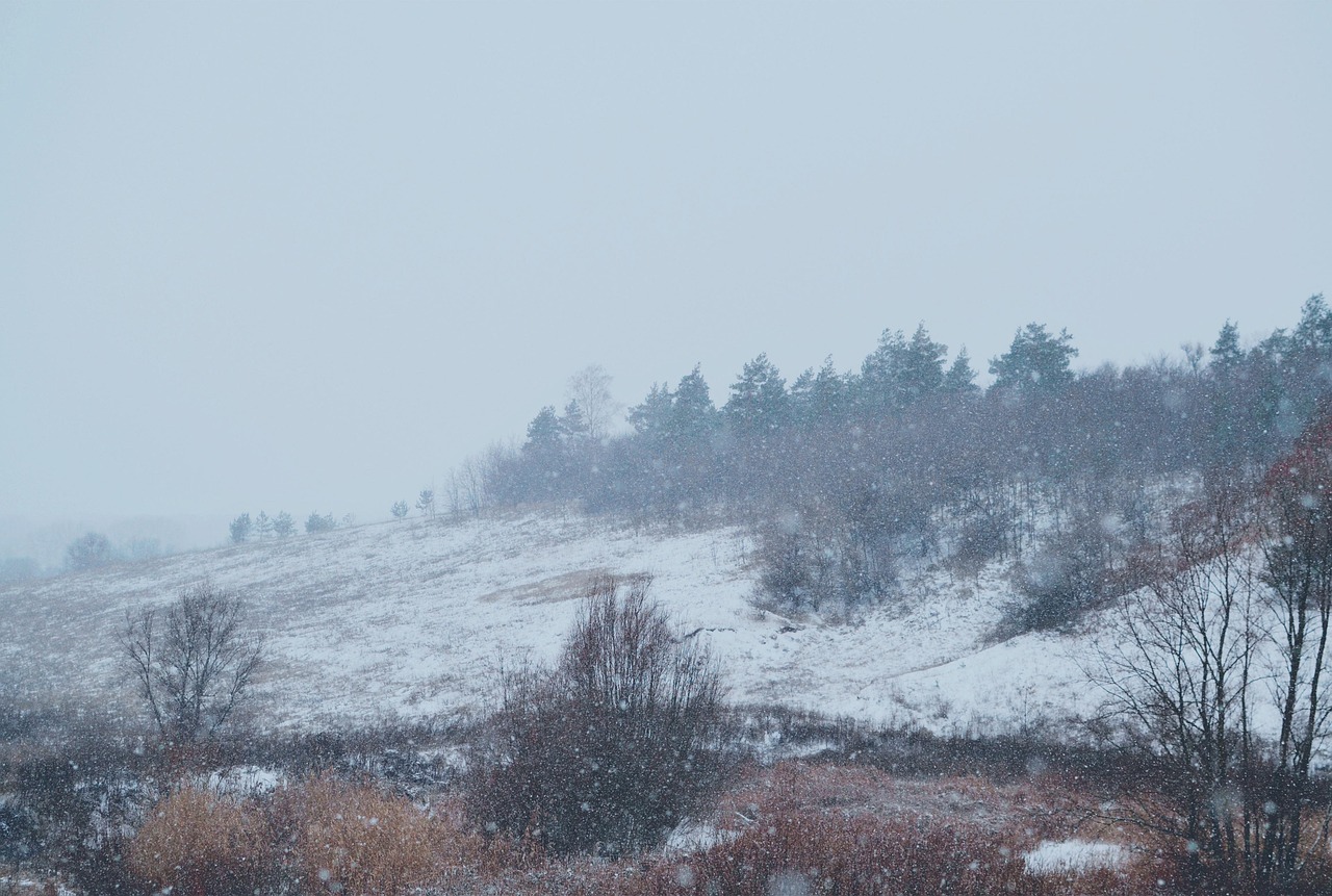 冬天 雪 自然 - Pixabay上的免费照片 - Pixabay