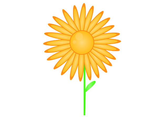 Bloem, Zonnebloem, Bloem Achtergrond