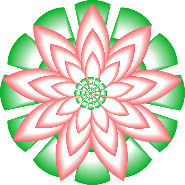 pixabay pixabay