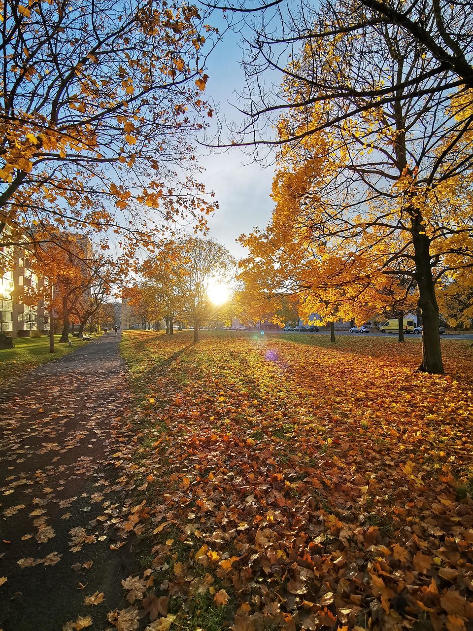 Sun Rise In Fall Sun Sunrise Fall - Free photo on Pixabay - Pixabay