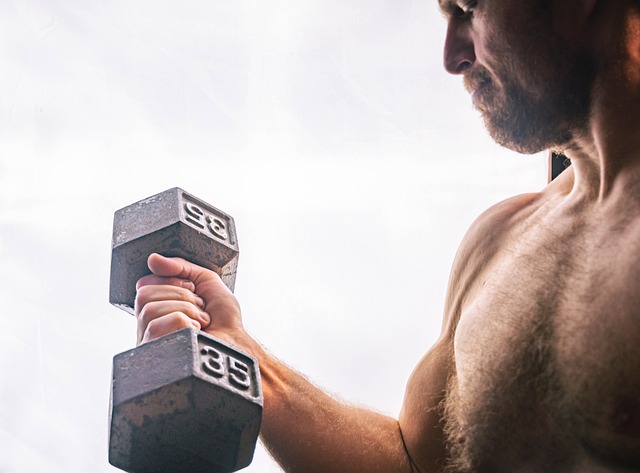 Free Dumbbell Weights photo and picture