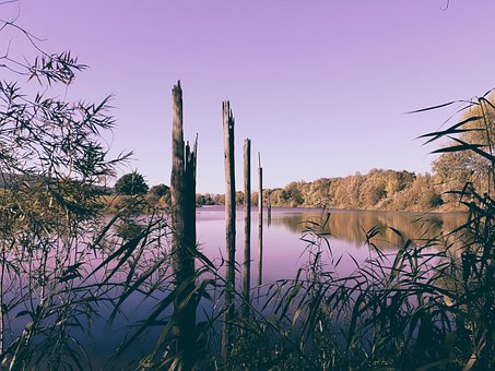 Free Lake Nature photo and picture