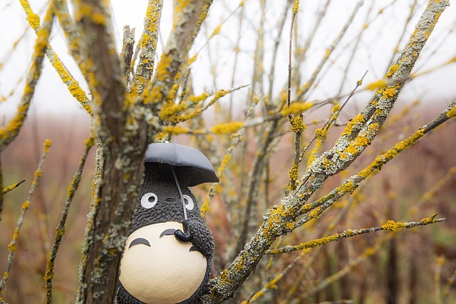 Totoro, Príroda, Jeseň, Dáždnik, Hračka