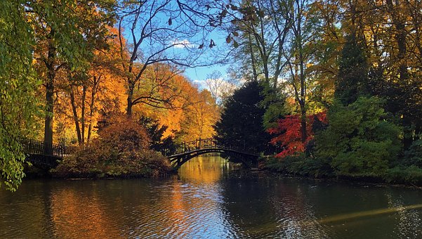 Natur, Jahreszeit, Herbst, Park, Draußen