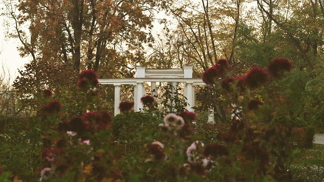 Otoño, Parque, Flores, Arquitectura