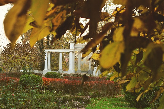 Otoño, Parque, Nature, Caliente, Cosy