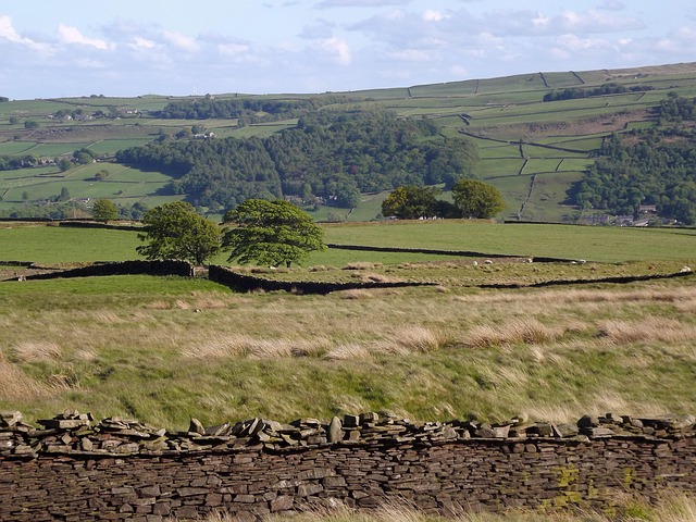 Free Yorkshire Landscape photo and picture