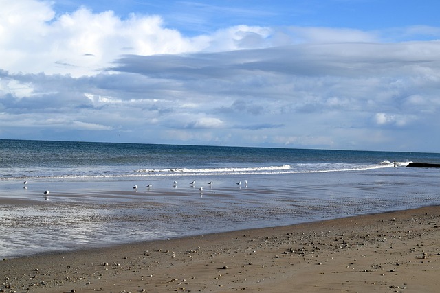 Free Beach Sea photo and picture