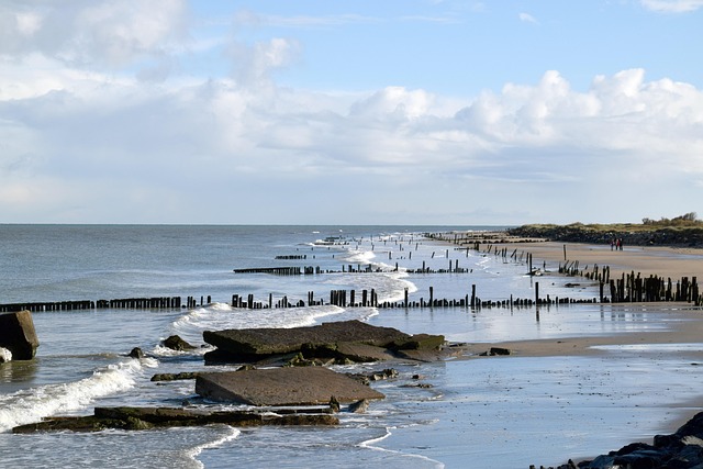 Free Beach Sea photo and picture