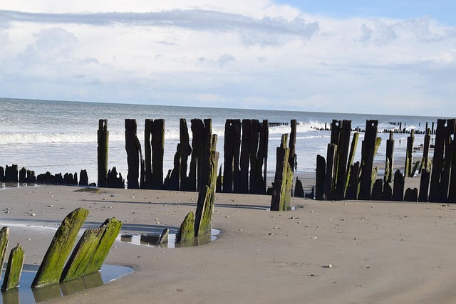 Free Beach Sea photo and picture