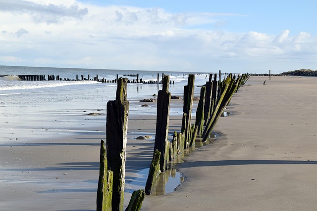 Free Beach Sea photo and picture
