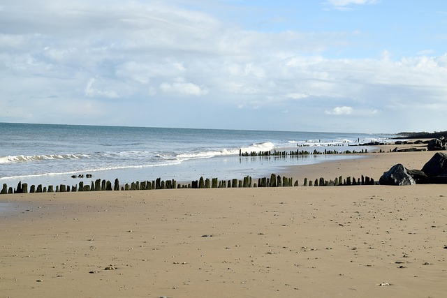 Free Space Beach photo and picture