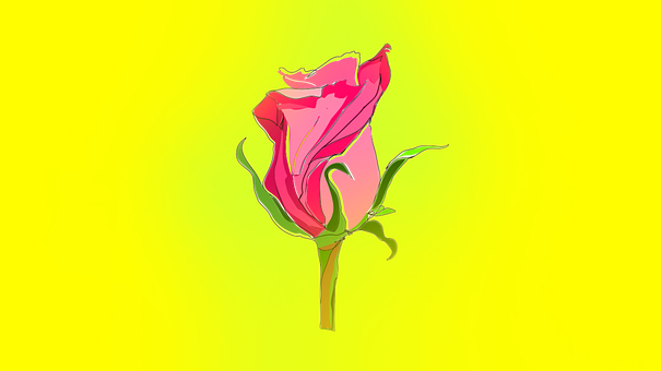Free Rose Nature illustration and picture