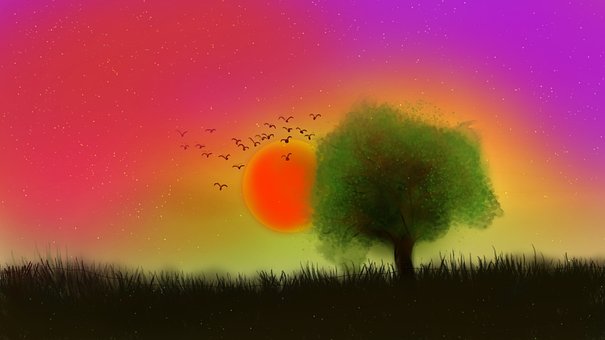 Free Nature Landscape photo and picture